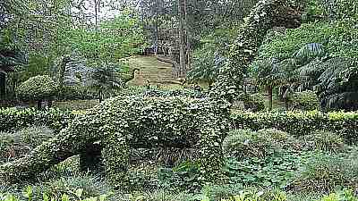 puistoa