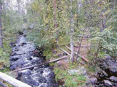 Koski myllyn alapuolella