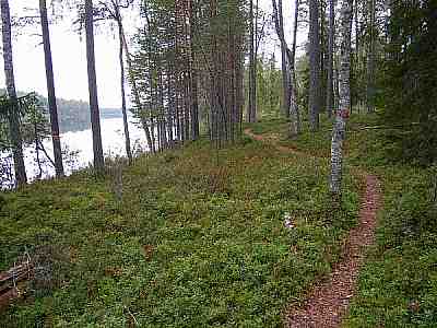 polkua