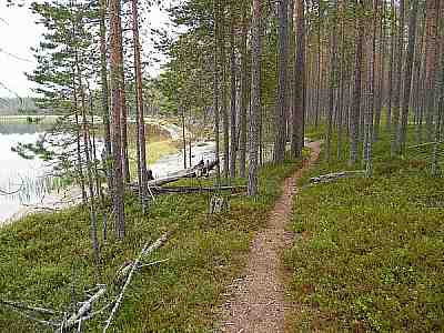 polku