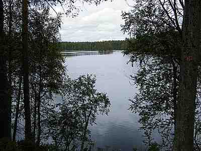 järvi