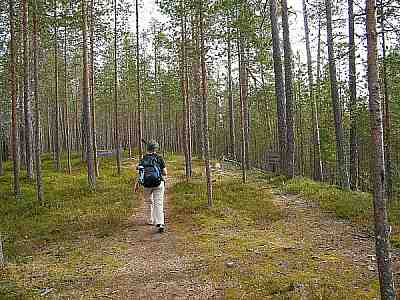 polku