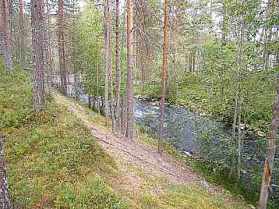 Polku hakokoskelle