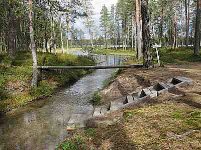 Muikkupuro