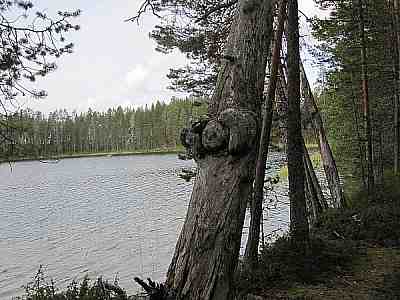 kelo rannalla