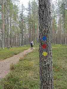 Polku jatkuu
