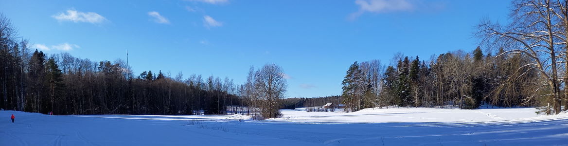 Espoo laskiaisena