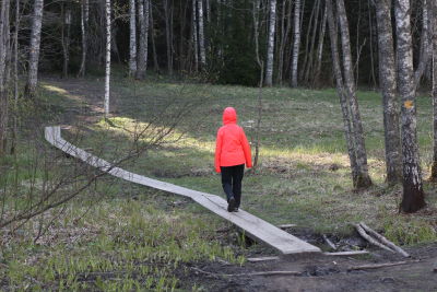 luontopolku