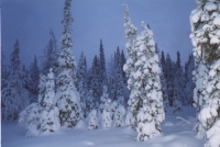 Kaamos01.jpg - 27551 Bytes