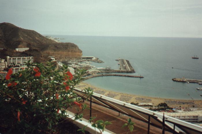 Puerto Rico - 42009 Bytes