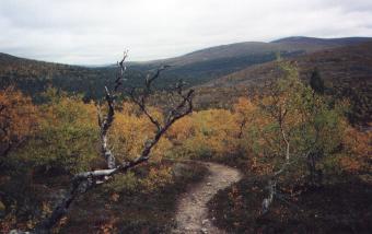 Matkalla Paratiisikurulle - 13976 Bytes