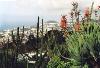 Madeira 