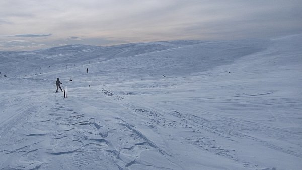 laskua