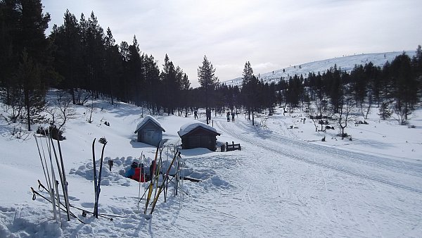 Vanha rumakurun kämpän piha