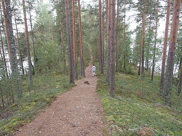 Joutsniemi