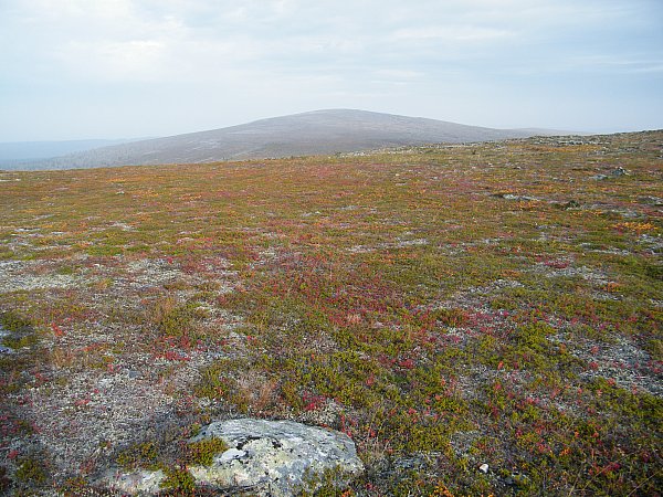 Kiilopää