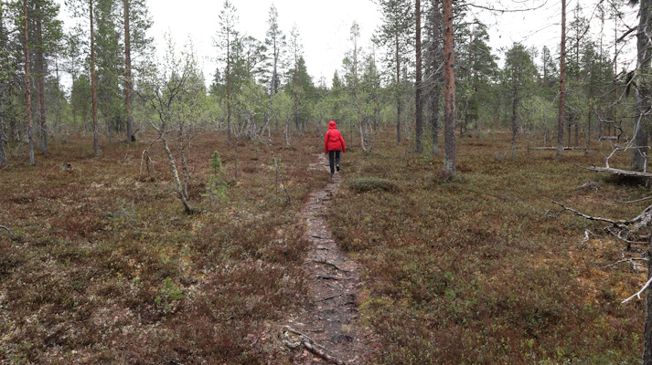 polkua