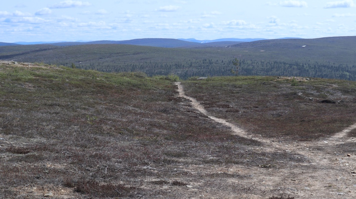 tunturinäkymä
