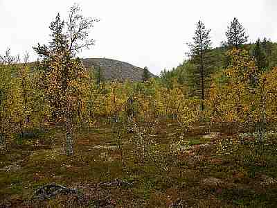 Rumakuru