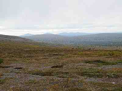 tunturia