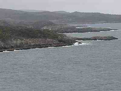 Varangin vuono