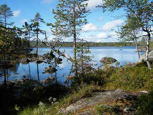 matkalla ermaakirkolle