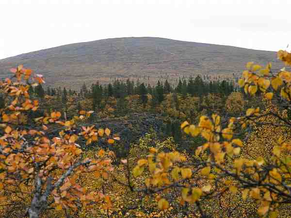 Kiilopää taustalla