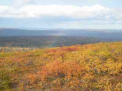 Ruska 