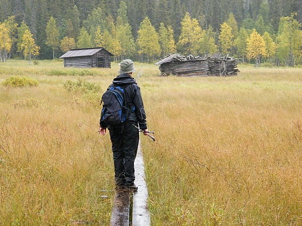 Latoja suoniityllä