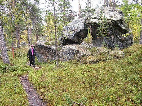 polkua Otsamolle