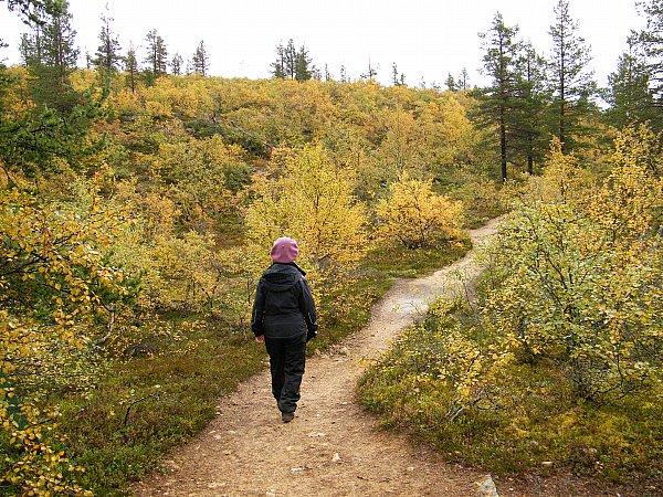 Polku Iisakkipn rinteell
