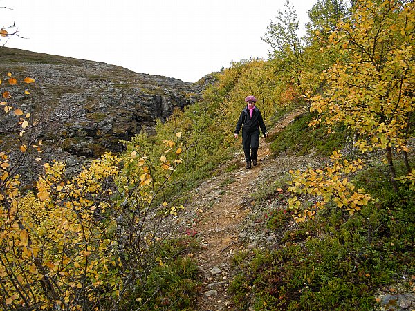 Polku ylhlt pessinlammelle