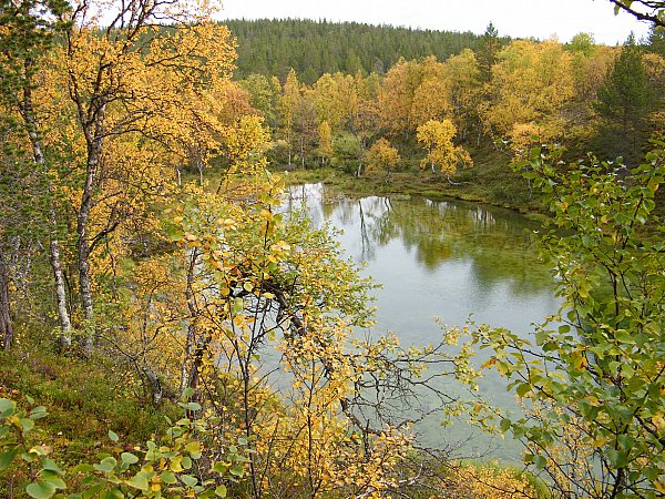 Pessinlampi