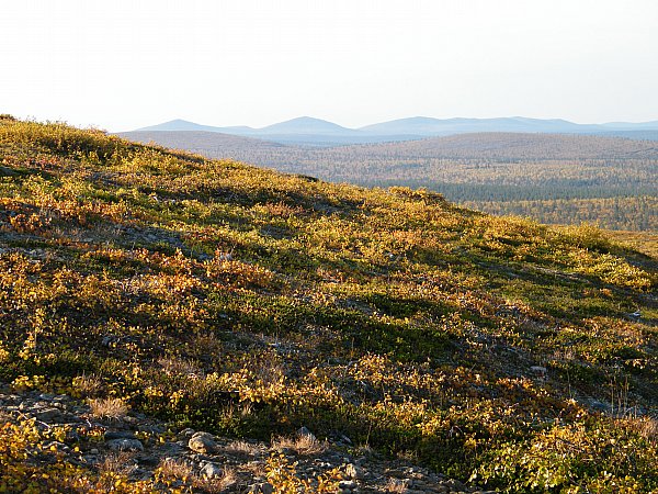 Kiilopn rinteelt Nattasten suuntaan