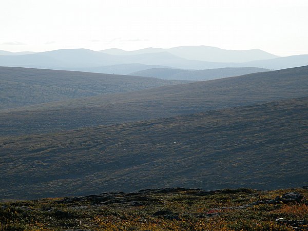 Ruskaa tunturissa