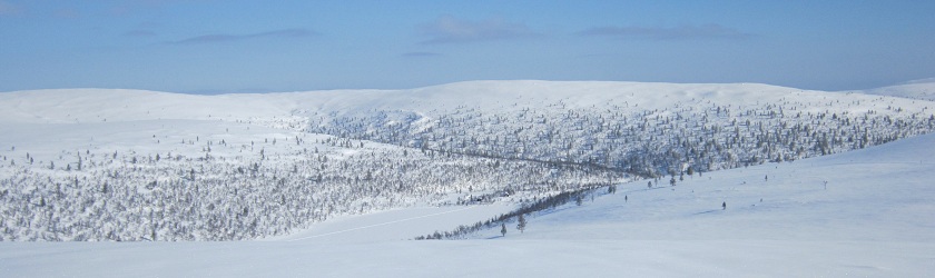 Tunturia