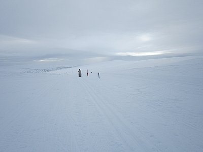 laskua luulammelle
