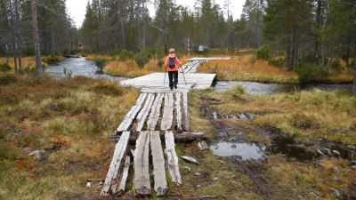 Vellinsärpimäoja