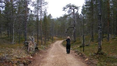 helppoa polkua