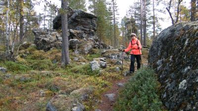 Polku Otsamolle