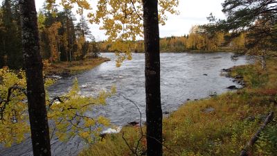 Vaattunkiköngäs