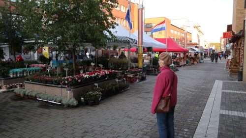 Rovaniemi, Kansainvliset markkinat
