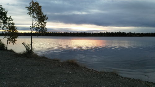Kitinen