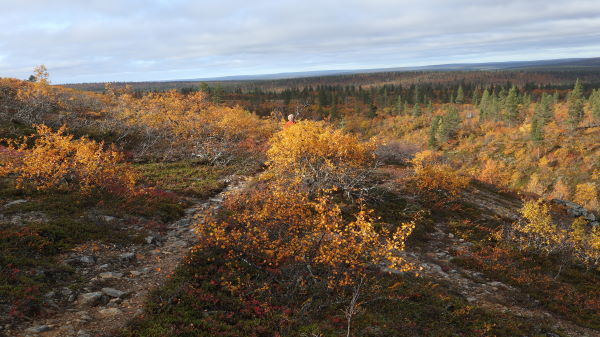 Rumakuru