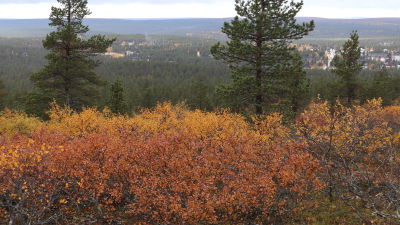 Saariselä kylä taustalla