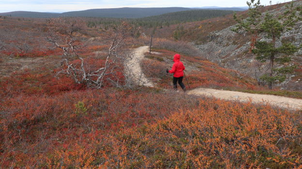 Matkalla Vellinsrpimn