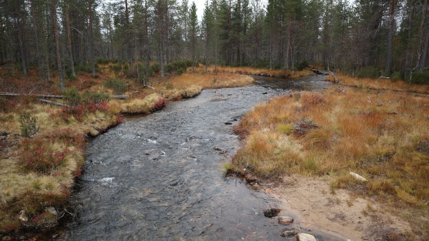 Vellinsärpimäoja