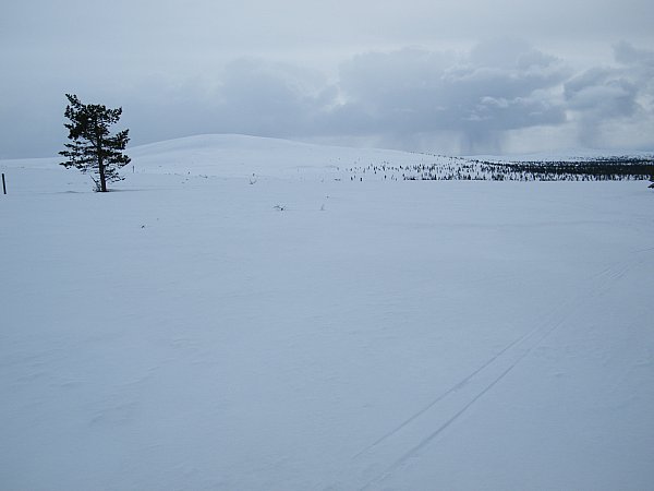 Kiilopää