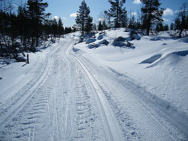 latua