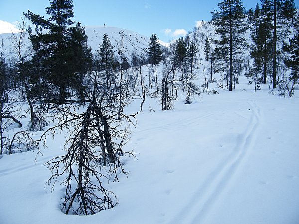 Rumakuru